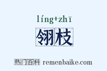 翎枝是什么意思的图片